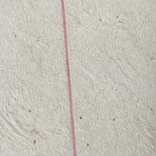 Paper fibers crossed by a thin red line